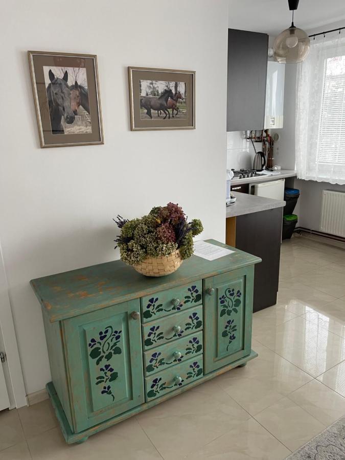 Apartamenty Cud Miod Krosno Luaran gambar