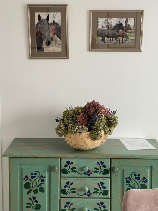 Apartamenty Cud Miod Krosno Luaran gambar